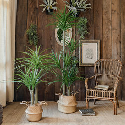 Nordic Light Luxury Artificial Green Plant Dragon Blood Tree Large Floor-Standing Potted Plant High-End Fake Plant Living Room Decoration Ornament
