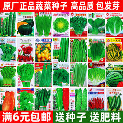 Four season vegetables, seeds, seeds, vegetables, cabbage,