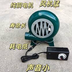 Firewood Stove Household Blower 12V High-Power Silent Blower 220V Household Electric Blower with Adjustable Wind Speed