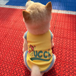 Dopamine Puppy Vest Spring and Autumn Pet Clothing Universal Cartoon Pet Dog Clothing Casual and Warm