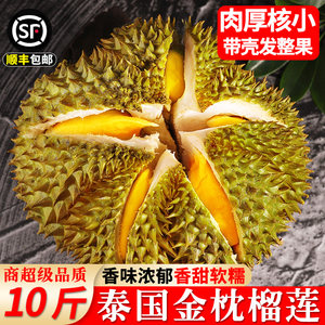 
SF Authentic Thai Golden Pillow Durian Seasonally Imported Fresh Fruit Whole Shelled Palm Durian Meat Free Shipping