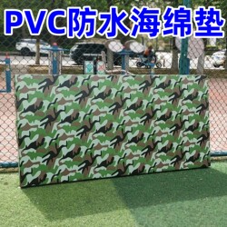 Somersault High Jump Sponge Mat Pvc Waterproof Kindergarten Sports Anti-Fall Gymnastics Dance Protection Student Martial Arts Mat