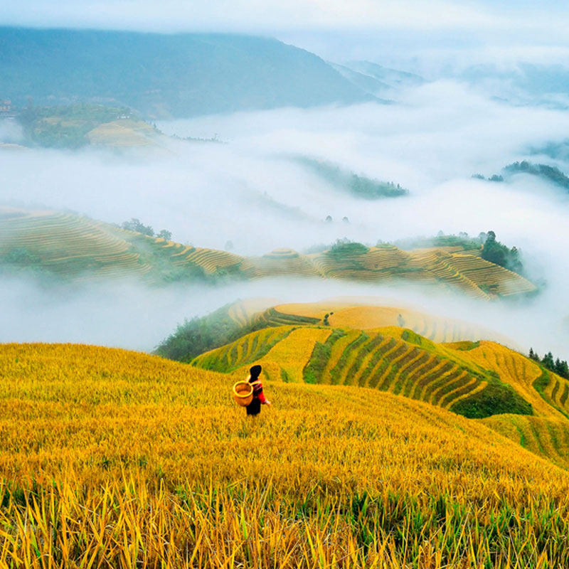 桂林旅游阳朔漓江游船遇龙河竹筏漂流龙脊纯玩五日游小团旅行团
