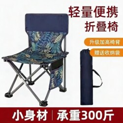 Outdoor Folding Chair, Folding Stool, Camping Chair, Small Folding Stool, Portable Ultra-Light Fishing Stool for Art Students
