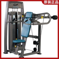 Genuine Sanfei Th9913 Seated Shoulder Press Machine Shoulder Press Gym Commercial Personal Training Fitness Equipment