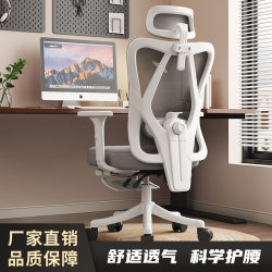 Ergonomic Chair, Waist-Protecting Computer Chair, Home Comfortable Sedentary Gaming Chair, Reclining Office Chair for Boys