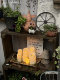 Fall in love with the garden Gardening Home Groceries Electronic Candles With Order