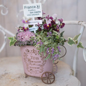 
Fall in love with the garden balcony home garden groceries iron old retro cup trolley flower box flower pot