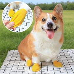 Balloon Dog Shoes, Dog Shoes with Soft Soles That Won'T Fall Off, Balloon Dog Shoes, Pet Balloon Shoes, Natural Latex Dog Shoes for Outdoor Use