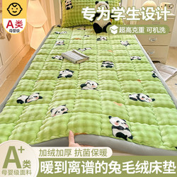 Winter Fleece Bed Sheet for Student Dormitory, Milk Velvet Mattress Pad, Soft Cushion, Thickened Single Bed Pad, Blanket, Mattress