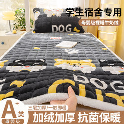 Milk Velvet Mattress Pad for Student Dormitory Single Bed, Special Bedding Pad, Mattress Pad, Quilt Pad, Bed Base