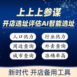 Top-Level Strategic Advisor Svip Site Selection Assessment Location Recommendation Report Regional Customer Group Brand Mall Research Site Selection