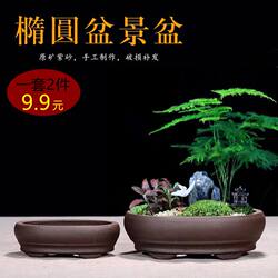 Purple Clay Simple Desktop Floor New Style Flower Pot Large Small Trough Rectangular Succulent Miniature Small Pot Balcony Calamus