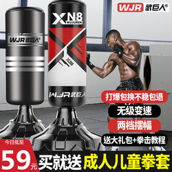 Boxing Punching Bag, Freestanding and Hanging Type, Home-Use, Wobble-Proof Fitness Sandbag, Children's Taekwondo Boxing Training Equipment