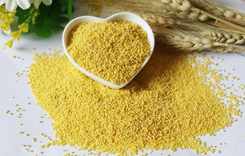 稻黍稷麦菽，你吃全了吗？(图5)
