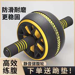 Automatic Rebound Abdominal Wheel, Home Push-Up Wheel, Fitness Equipment, Abdominal Muscle Wheel, Abdominal Muscle Roller, Belly Fat Reduction Exercise