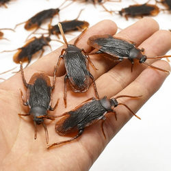 Fake Cockroach Toy, Realistic Prank Prop, Small Cockroach Model, Prank Tool, Plastic Cockroach