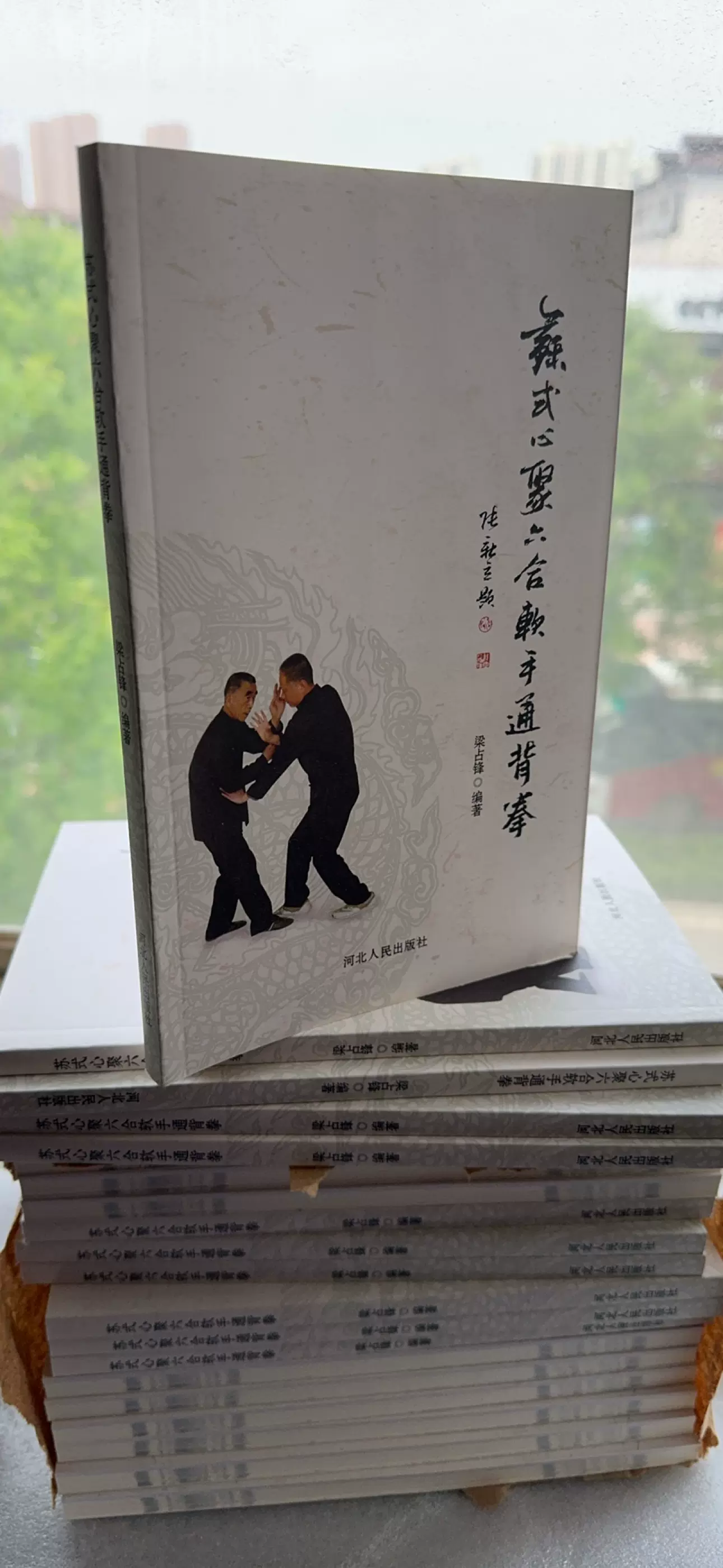 传统八卦掌 第一册 传统八卦掌 第一册 一、转身片旋掌|传统八卦掌第