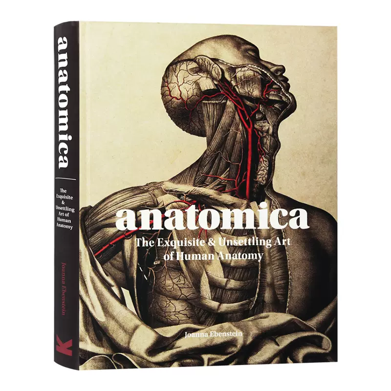 Anatomica 英文原版解剖學人體解剖學精美藝術醫學手稿插畫冊探索人體