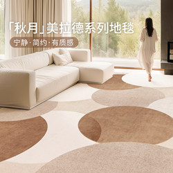 Second-Hand Carpet for Living Room 2025 New Model Washable and Wipeable Floor Mat Light Luxury High-End Bedroom Bedside Rug Removable and Washable Carpet