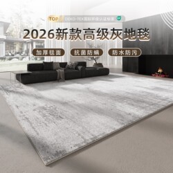 Carpet for Living Room 2026 New Model Light Luxury High-End Gray Bedroom Floor Mat Home Sofa Washable Wipeable Waterproof Stain-Resistant
