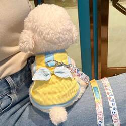 Ultra-Small Size Spring and Summer Pet Clothing for Small Teddy Dogs, Kittens, and Puppies, Cute and Breathable Vest with Leash Attachment for Bichon Frise