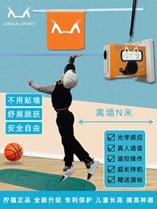 
The caracal cat touches the high flag, counts, jumps, and jumps. It is a height-increasing tool for teenagers and children.