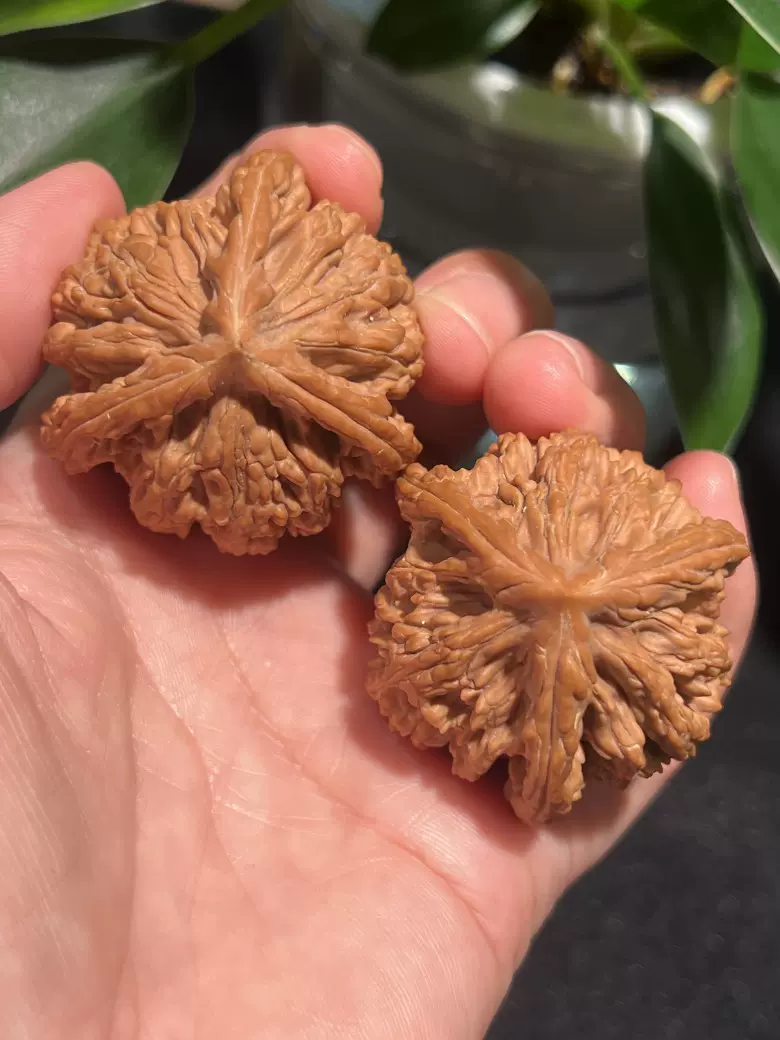 精品文玩核桃44老磨盤獅子頭老核桃（已結緣）