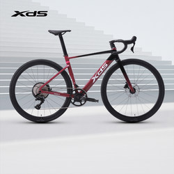 Xds Xidesheng 25 New Model Ad350 Road Bike Adult Bicycle Carbon Fiber Front Fork with Power Meter Bicycle