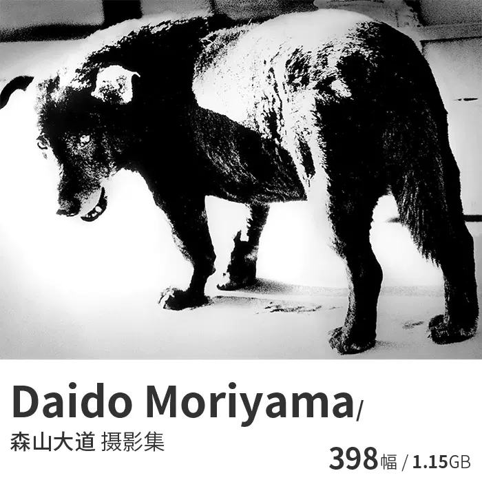 Daido Moriyama 森山大道日本黑白纪实摄影大师参考电子图片资料-Taobao
