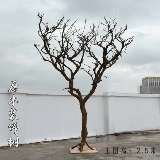 Ruiju 乾燥枝 - 家とレストランのための装飾的な木の幹