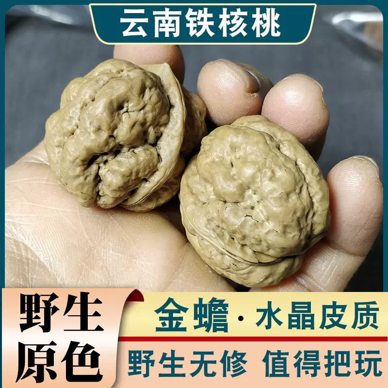 云南野生铁核桃金蟾疙瘩包蛤蟆头文玩核桃平头蟾手
