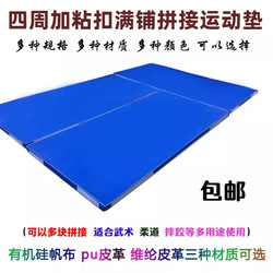 Competition Training Judo Mat, Martial Arts Mat, Somersault Mat, Sports Foam Mat, Sanda Mat, Hook-And-Loop Splicing Gymnastics Mat