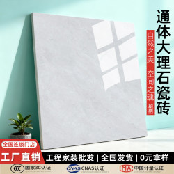 Guangdong Foshan Ceramic Tile Floor Tiles Living Room Non-Slip Floor Tiles All-Over Marble 800X800 Household Light Gray Tiles