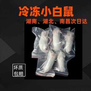 
Frozen and frozen fresh white mouse milk rat feed reptile pet snake horned frog turtle feed red powder skin opening material