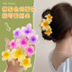 2025 new candy color flowers grab the back of the head hair grab large size clip high-end shark chuck hair accessories