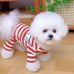 Dog Clothes Spring and Autumn Thin Anti-Shedding Leash Striped Shirt Four-Legged Outfit for Small Puppies Like Teddy, Bichon, and Pomeranian