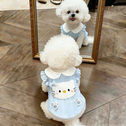 Pet Cat and Dog Clothes Spring and Summer Thin Cute Dresses for Small Dogs Yorkshire Schnauzer Bichon Teddy