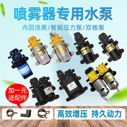 Electric Agricultural Sprayer, Portable Pesticide Sprayer, Mist Sprayer, Car Wash Machine, Water Pump, High-Pressure Diaphragm Pump Machine