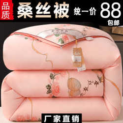 Thickened Quilt, Winter Quilt, Silk Quilt, Winter Warm Pure Cotton Bedding, Winter Space Quilt, Double Spring and Autumn Silk Cotton Quilt Core