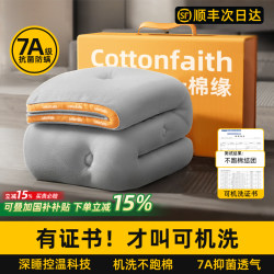 Machine Washable Quilt Core Soybean Fiber Quilt Winter Quilt Thickened Warm Winter Cotton Quilt Suitable for All Seasons 2025