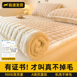Blanket Mattress, Thickened for Winter, Warm Milk Velvet, Home Use Soft Pad with Added Fleece, Winter Mattress Pad, Bed Base