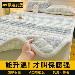 Autumn and Winter Milk Velvet Mattress Thickened Warm Mattress Pad for Home Bedroom Bedding Base Flannel Blanket Pad