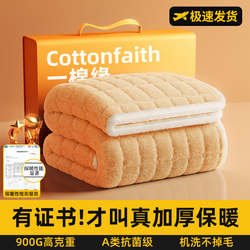 Winter Fleece-Lined Thick Mattress Milk Velvet Soft Pad for Home Bedroom Mattress Pad Quilt Base Winter Bed Mattress Pad Bedding