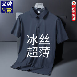 Anti-Wrinkle Ice Silk Men's Short-Sleeved T-Shirt Summer Thin 2026 New T-Shirt Dad Collar Quick-Drying Top Polo Shirt Men's Style