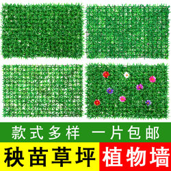 Simulated lawn plant wall green plant wall decoration artificial plastic fake turf living room indoor door balcony background