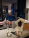 Okmashop Hooded Sweater Jacket for Women, Cardigan for Outer Wear, Autumn Lazy Style, High-End Soft and Fluffy Knitwear