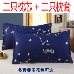 Pillow Core Set, Value Pack, Includes Pillowcases, Multiple Colors Available, Single Pillow for Adults, Home Use, Students, Hotel