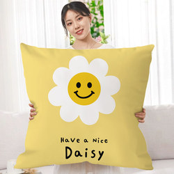 Cartoon Simple Modern Throw Pillow Sofa Living Room Backrest Home Nordic ins Style Extra Large Cushion Pillowcase for Home Use