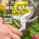 Worschworth gardening scissors, home pruning shears, fruit branch shears, fruit tree shears, garden shears, branch pruning scissors